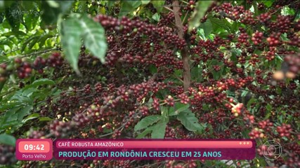 Vídeos do episódio de 'Mais Você' de quarta-feira, 19 de novembro de 2025