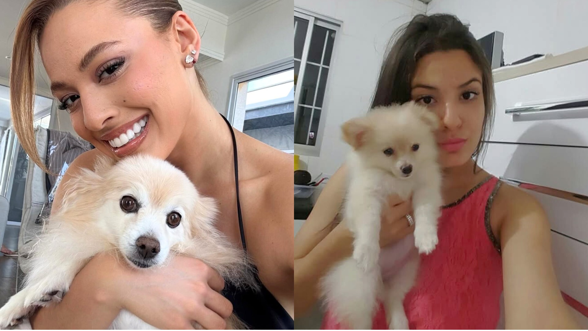 Beatriz Reis lamenta a morte de cachorrinha de estimação: 'Não consigo imaginar minha vida sem você'