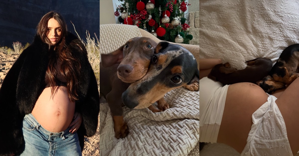 Rafa Kalimann apresenta novo cachorro e posta clique fofo mostrando o barrigão: 'Irmãzinha'