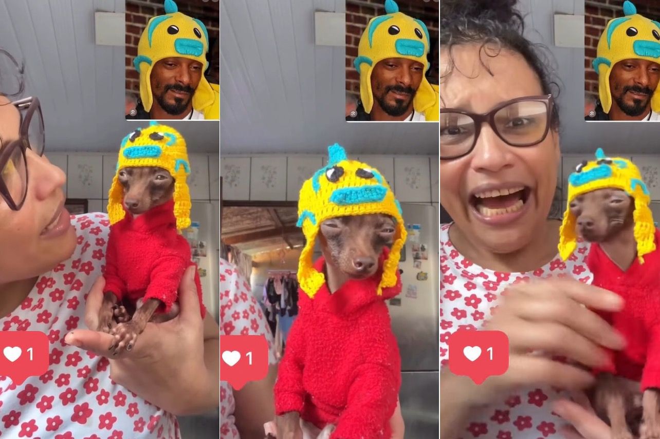 Parece? Snoop Dogg se diverte com look de pinscher feito por brasileira e reposta criação; veja o vídeo
