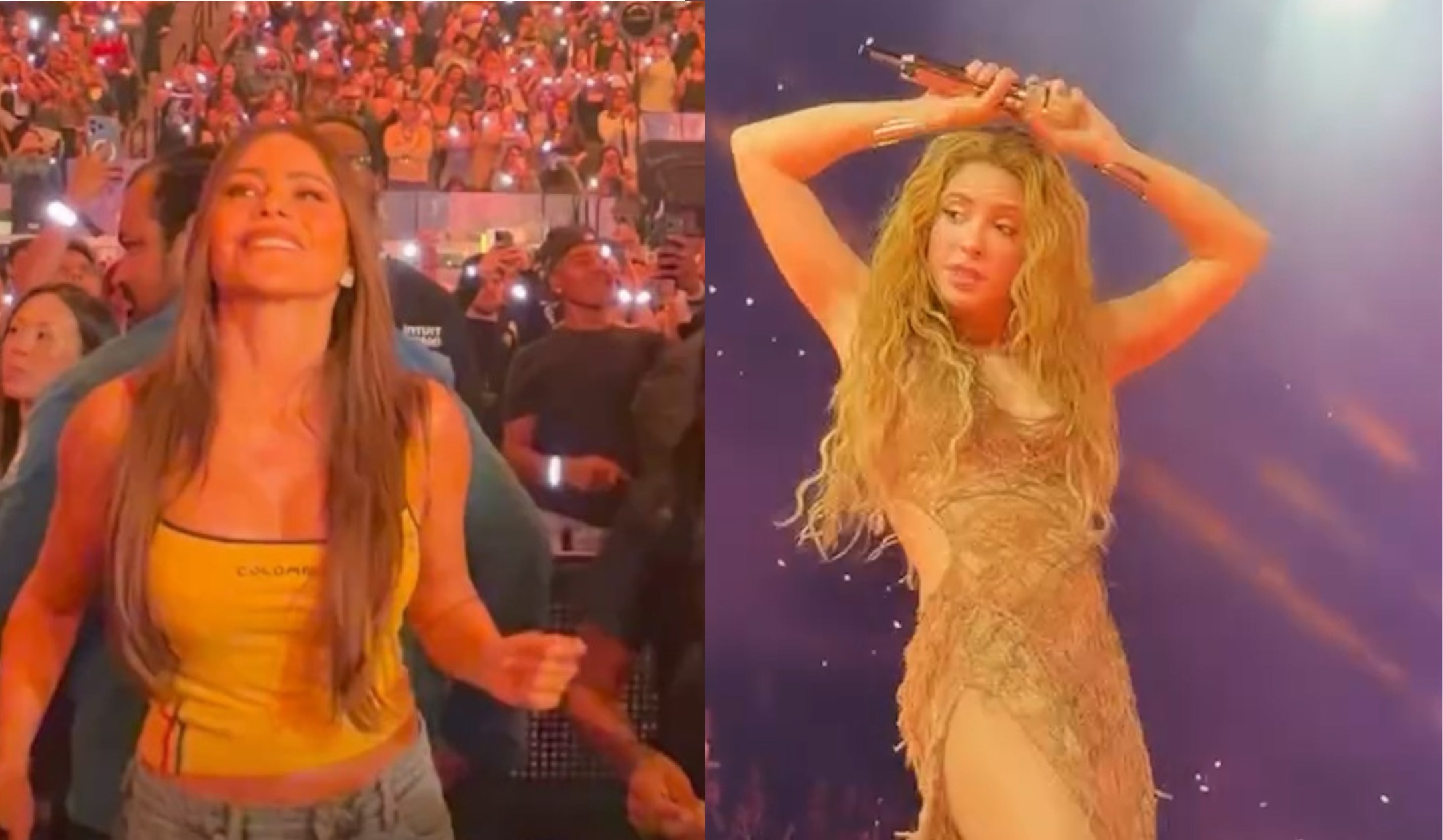 Encontro latino! Sofia Vergara se joga em show de Shakira e cantora reage durante apresentação