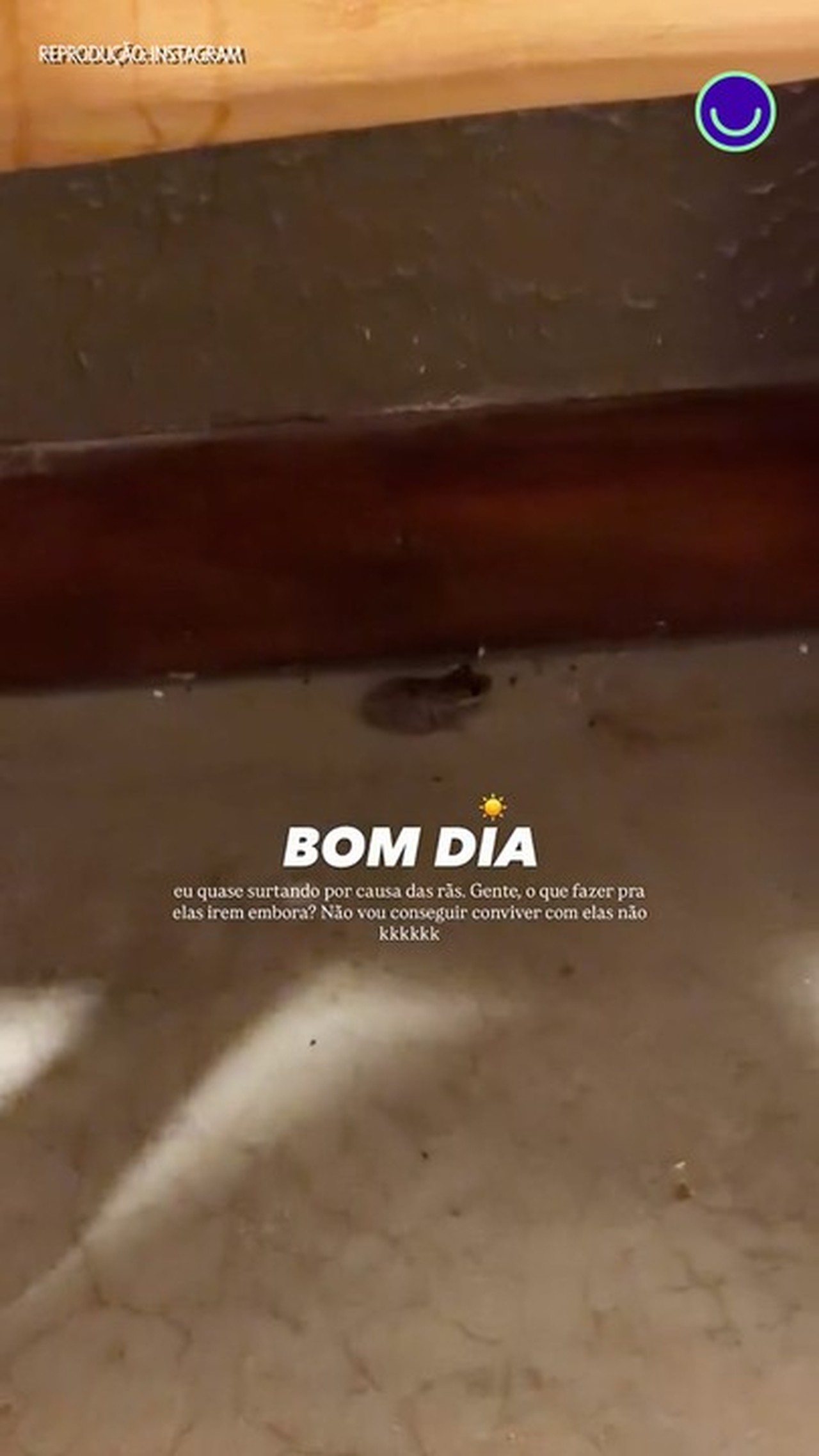 Eslôvenia acorda em quarto cheio de rãs durante férias em Alagoas: 'Eu tô surtando'