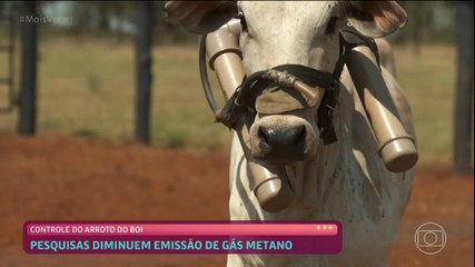 Vídeos do episódio de 'Mais Você' de sexta-feira, 21 de novembro de 2025