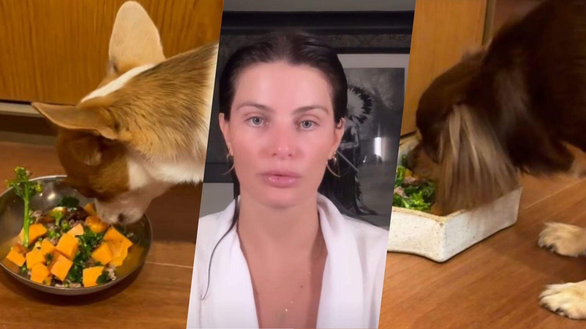 Refeição de luxo! Isabeli Fontana pede comida em hotel 6 estrelas para cachorros: 'Eles merecem'