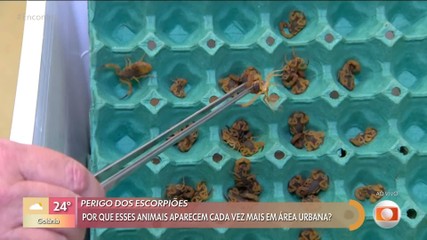 Vídeos do episódio de 'Encontro com Patrícia Poeta' de quinta-feira, 12 de fevereiro de 2026