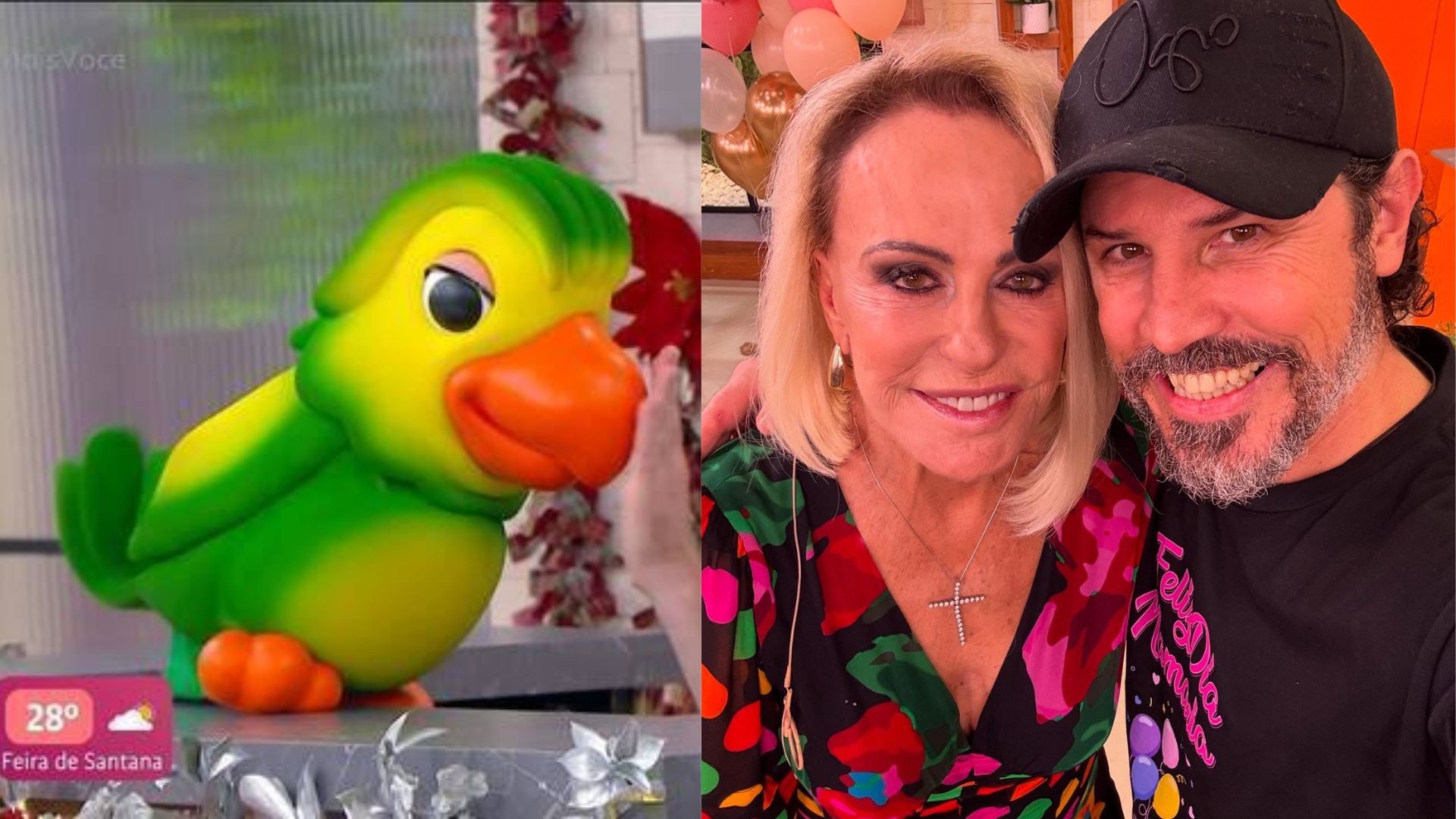 Ana Maria Braga parabeniza Fabio Caniatto, que dá voz ao Louro Mané, e papagaio brinca: 'Nem me contou'