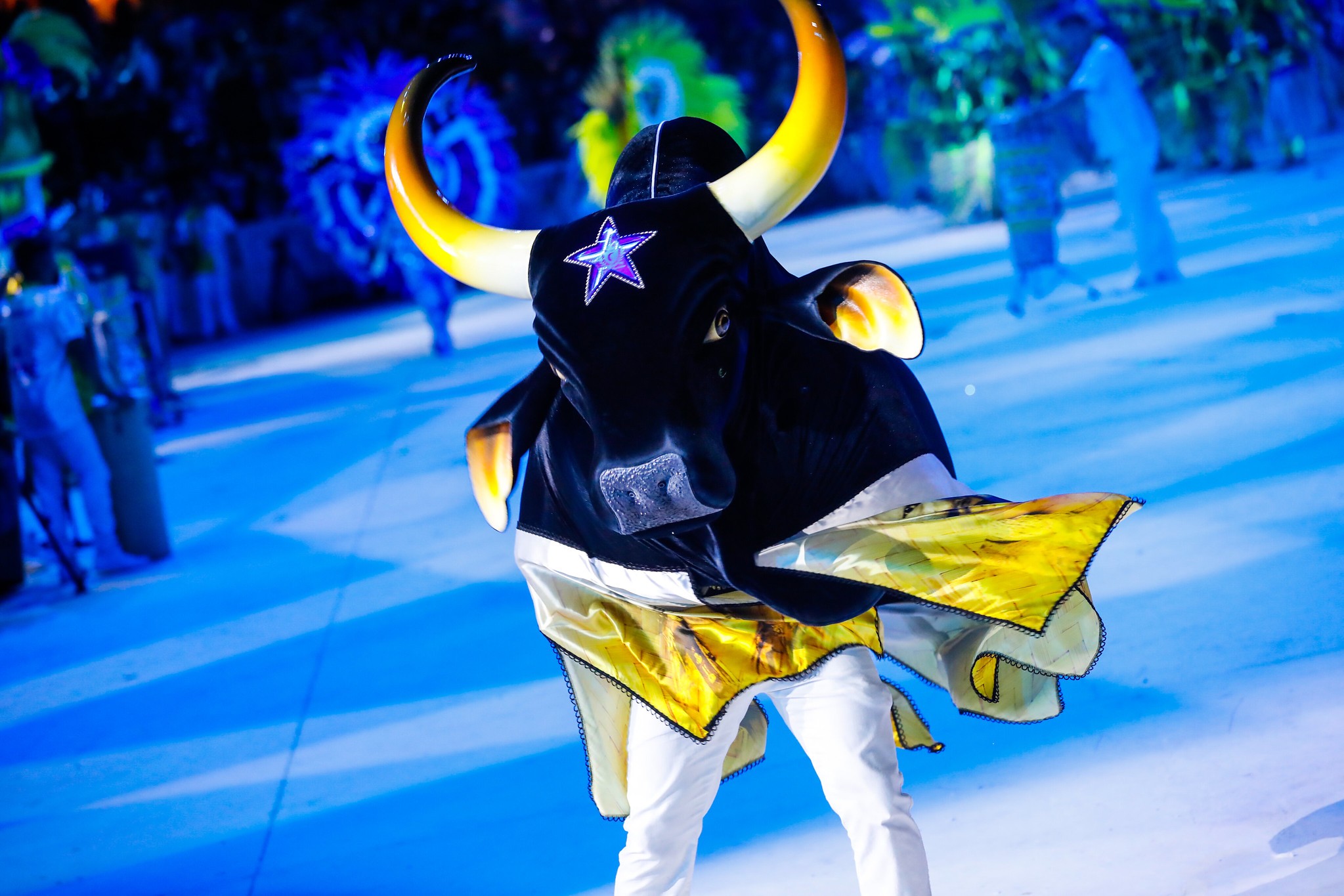 Boi Bumbá Caprichoso divulga calendário da temporada bovina de 2026 para o Festival de Parintins