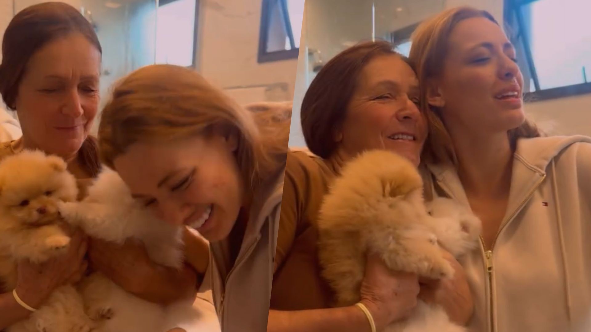 Beatriz Reis ganha dois filhotes de aniversário e comemora: 'Meu presente chegou em forma de amor'