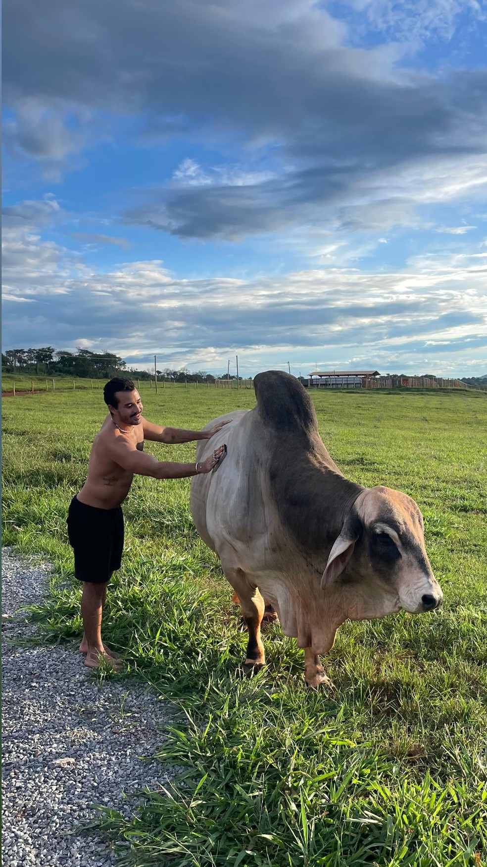 Mateus posa com boi em viagem a Goiás — Foto: Reprodução/Instagram