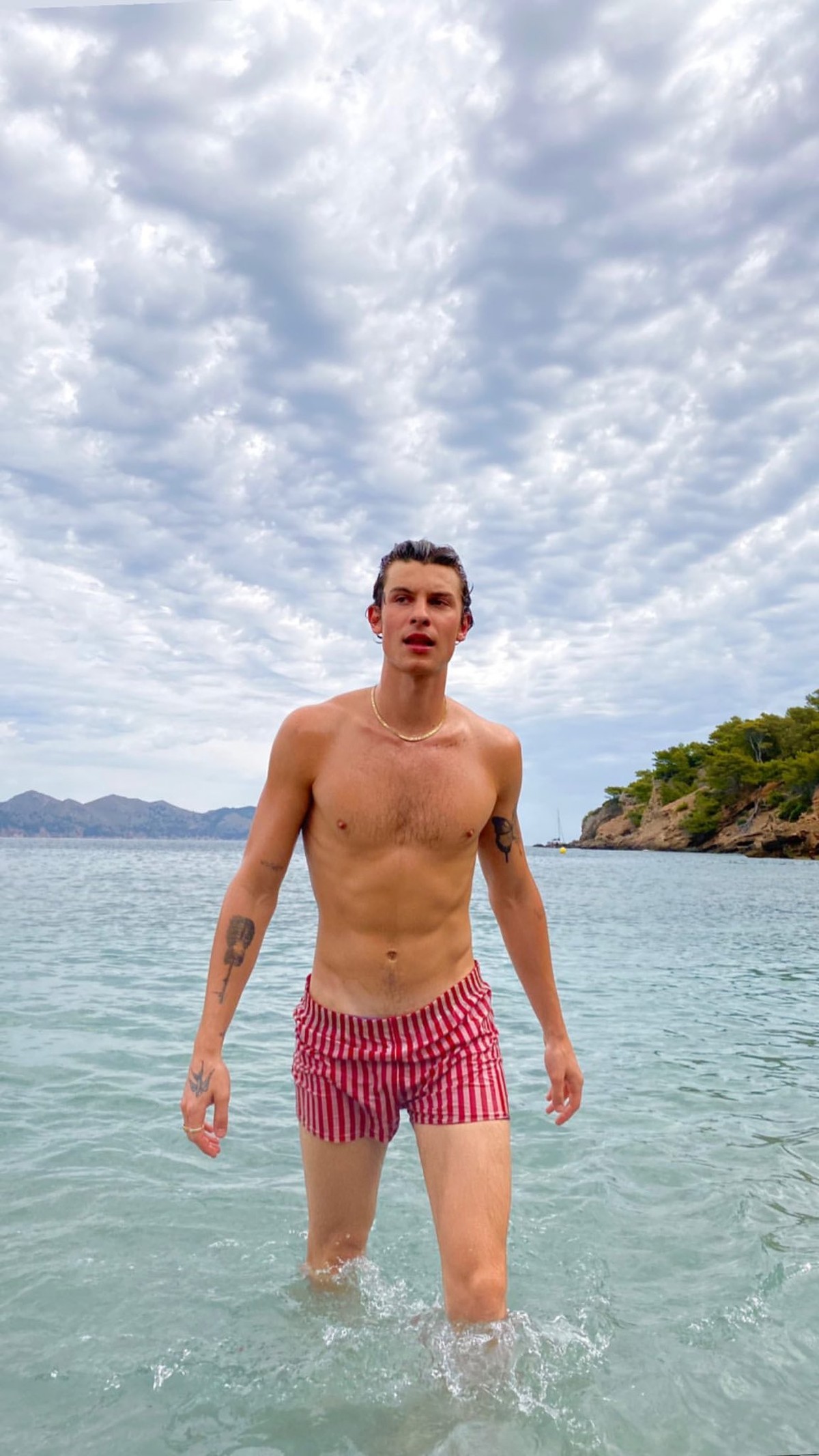 Blusa de frio shawn mendes top