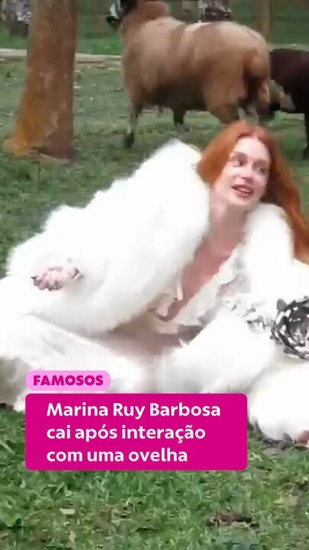Marina Ruy Barbosa é derrubada por ovelha e diverte web; veja vídeo!