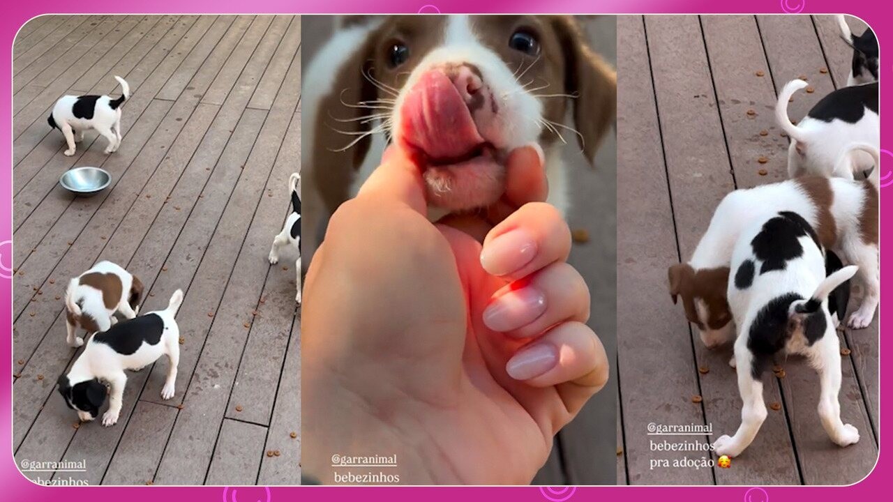 Bruno Gagliasso homenageia Giovanna Ewbank no Dia das Mães: 'É uma leoa'