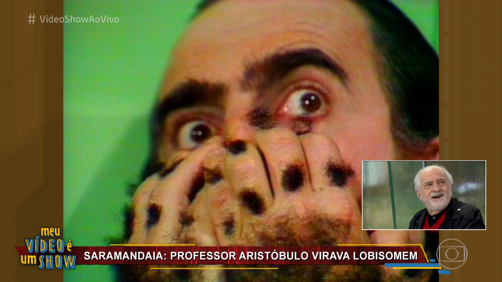 TV Globo 60 anos: relembre os 'bichos- papões' das novelas