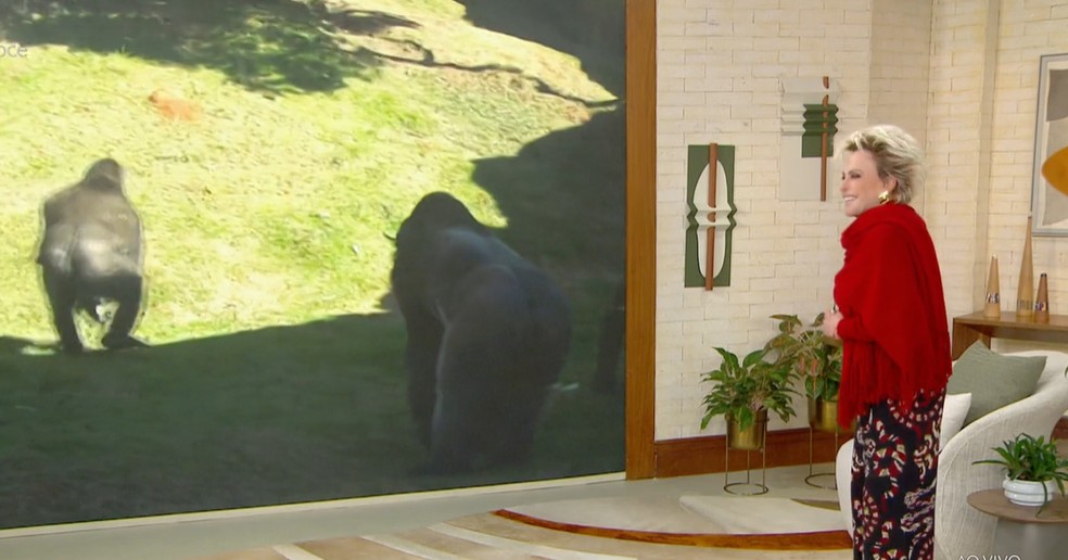 Ana Maria Braga se diverte após falar sobre os gorilas — Foto: Globo