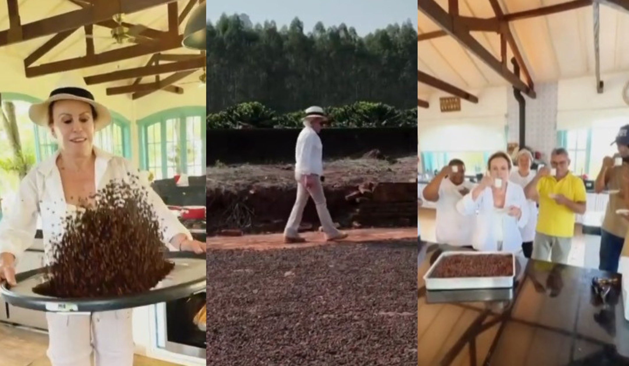 No Dia Mundial do Café, Ana Maria Braga mostra o cafezal em sua fazenda